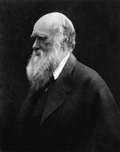/uploads/image/historical/Charles_Darwin.jpg